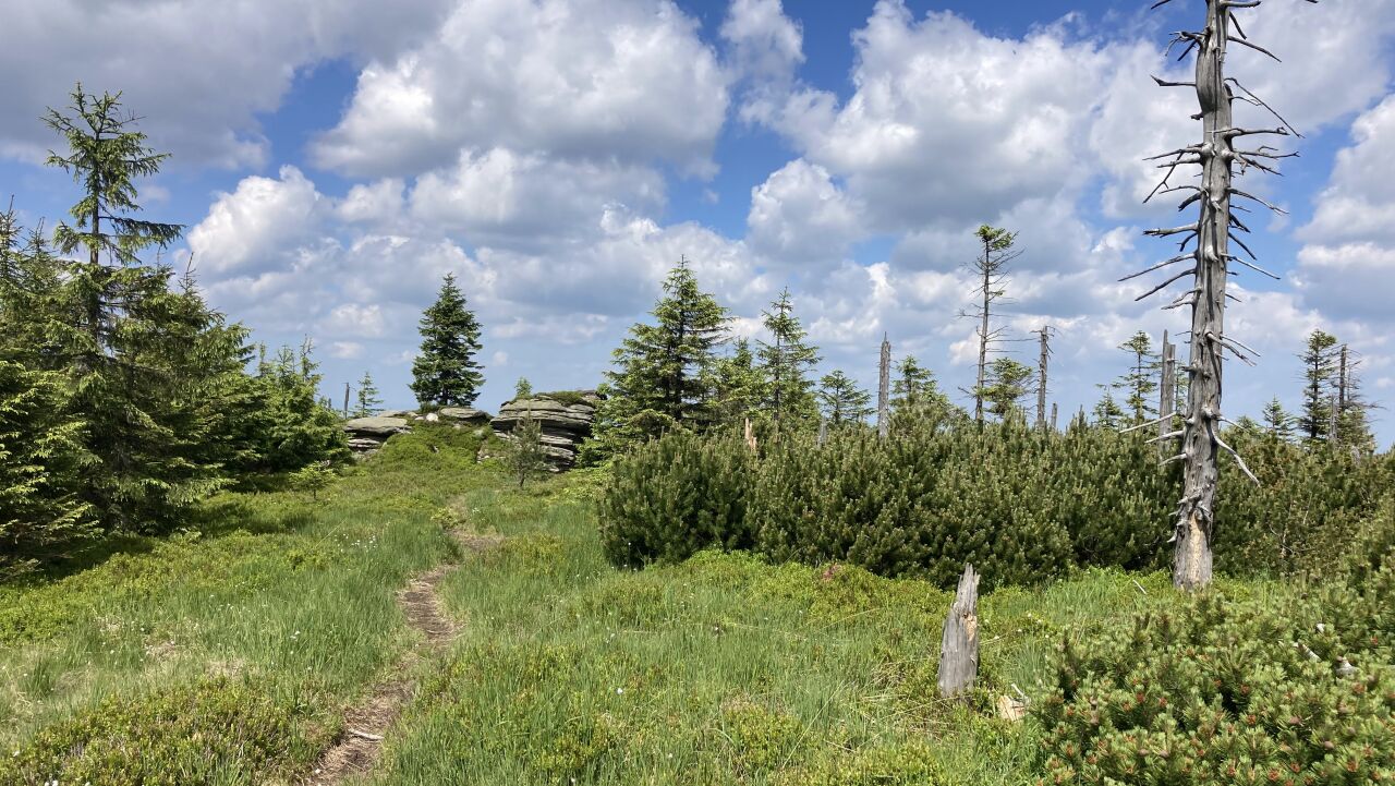 33km přes Jizerky 8. 6. 2024