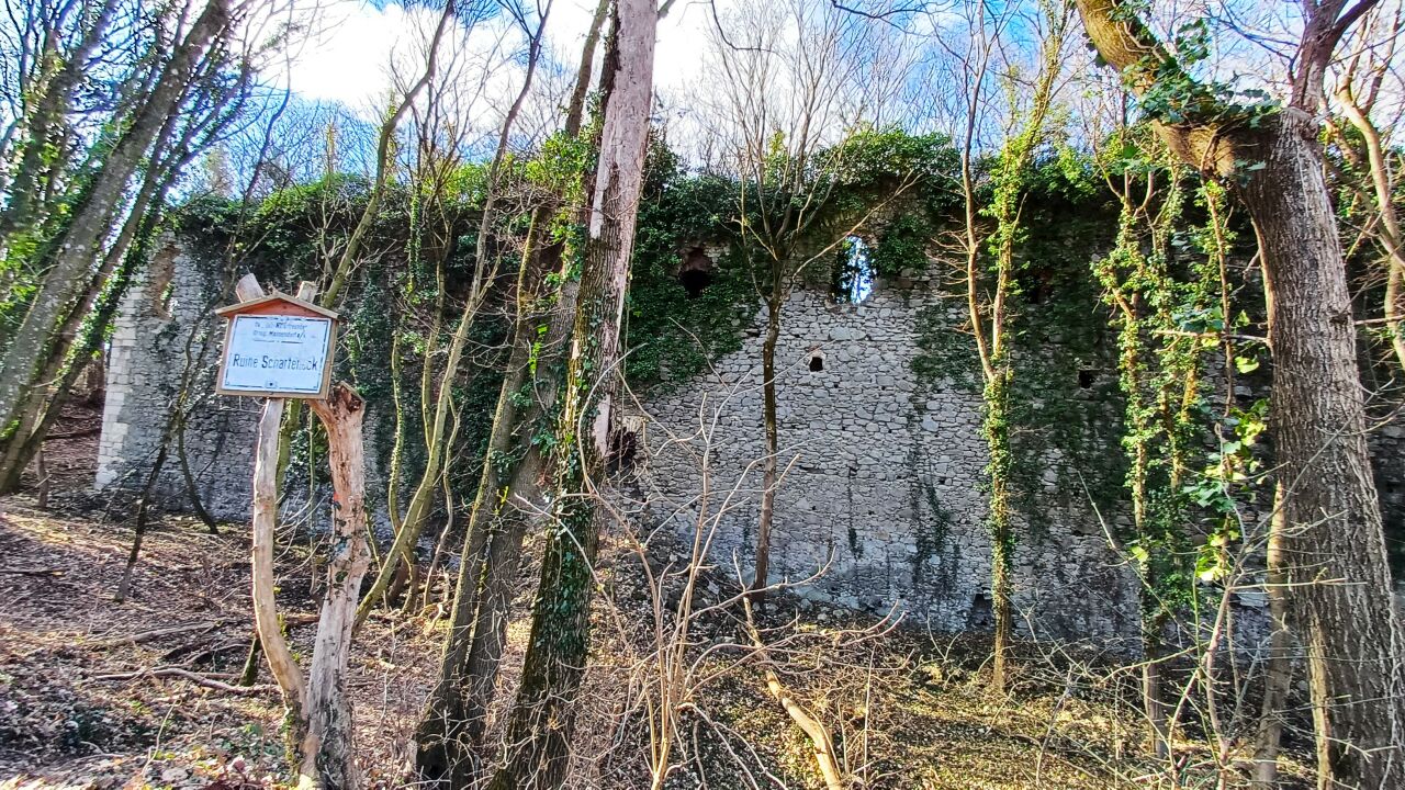 Mannersdorf am Leithagebirge