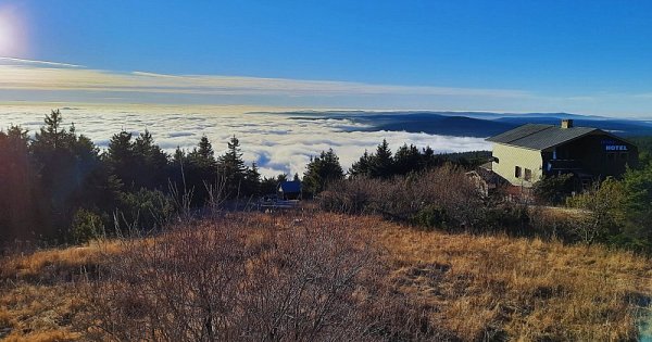 Krušnohorský horal