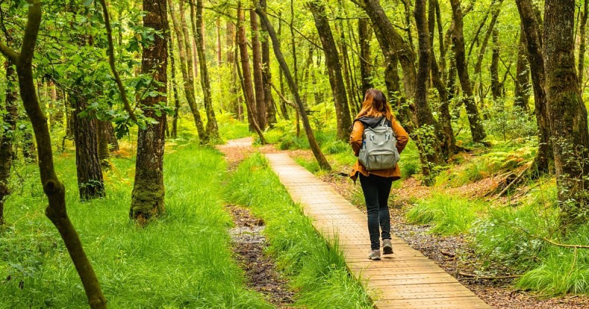 Jarní vyvrcholení 2025