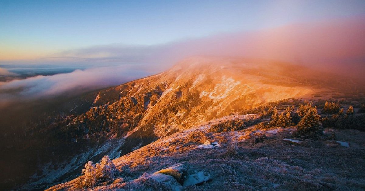 Krkonošský horal
