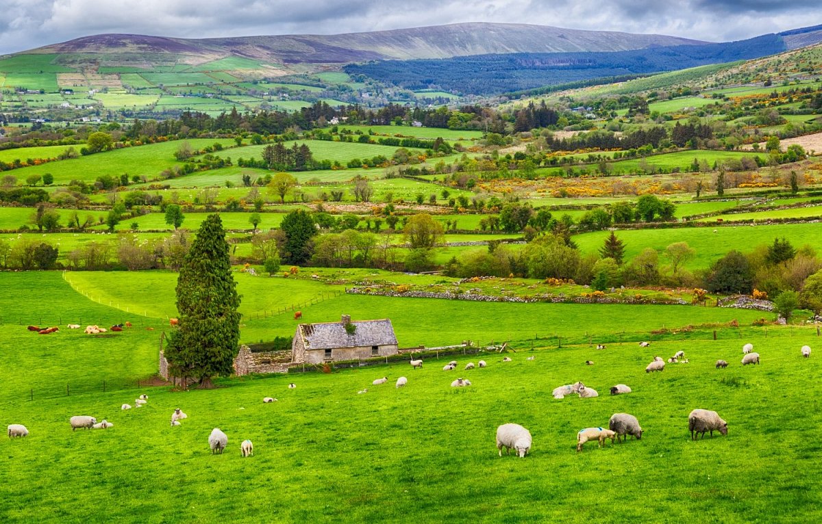 Irlanda