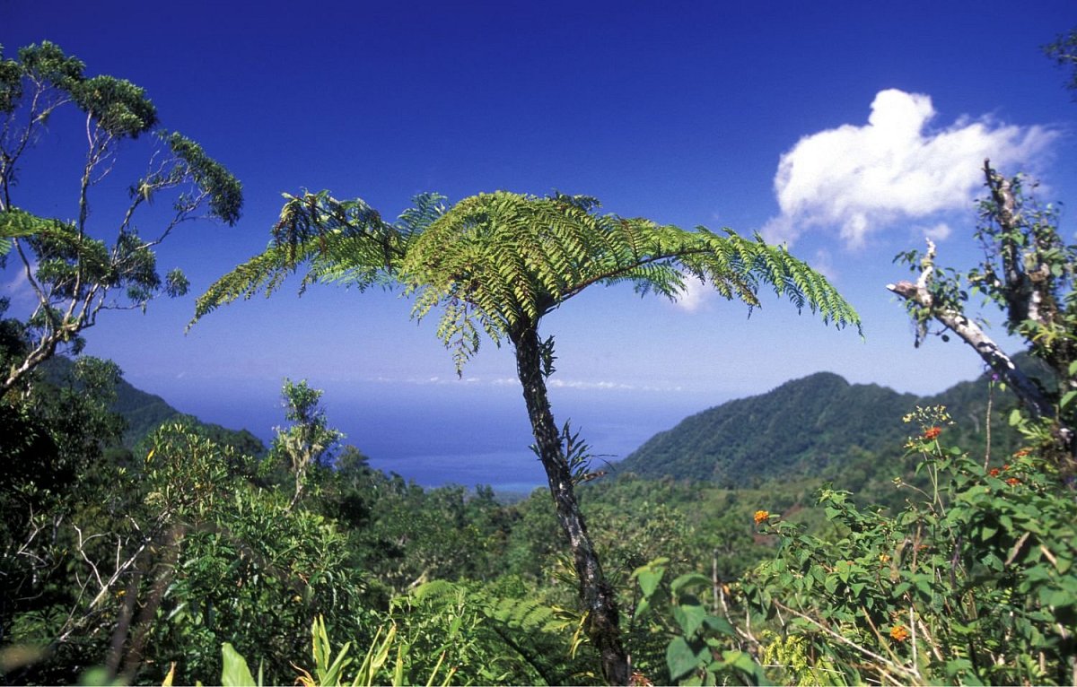 Comores