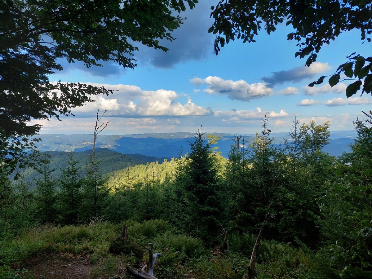 Wielki Rogacz (1182&nbsp;m)