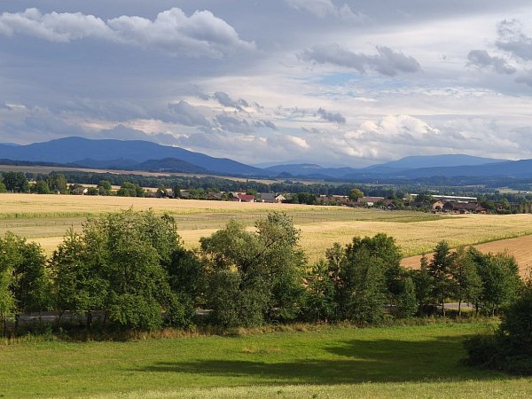 Písečník