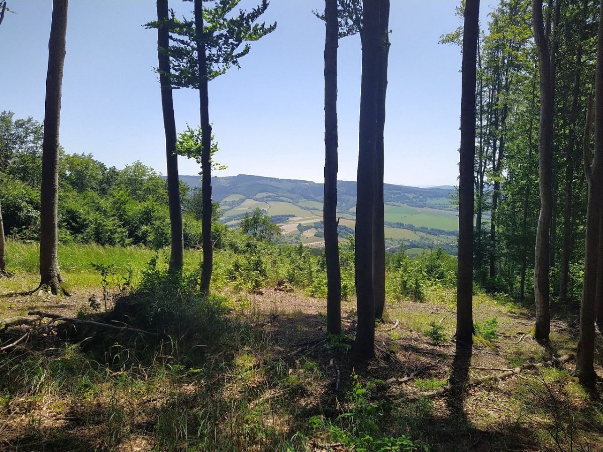 Polomy (659&nbsp;m)