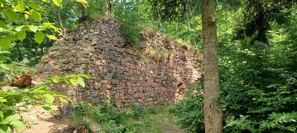 Strádov - zřícenina (366&nbsp;m)