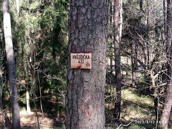 Hvězdička