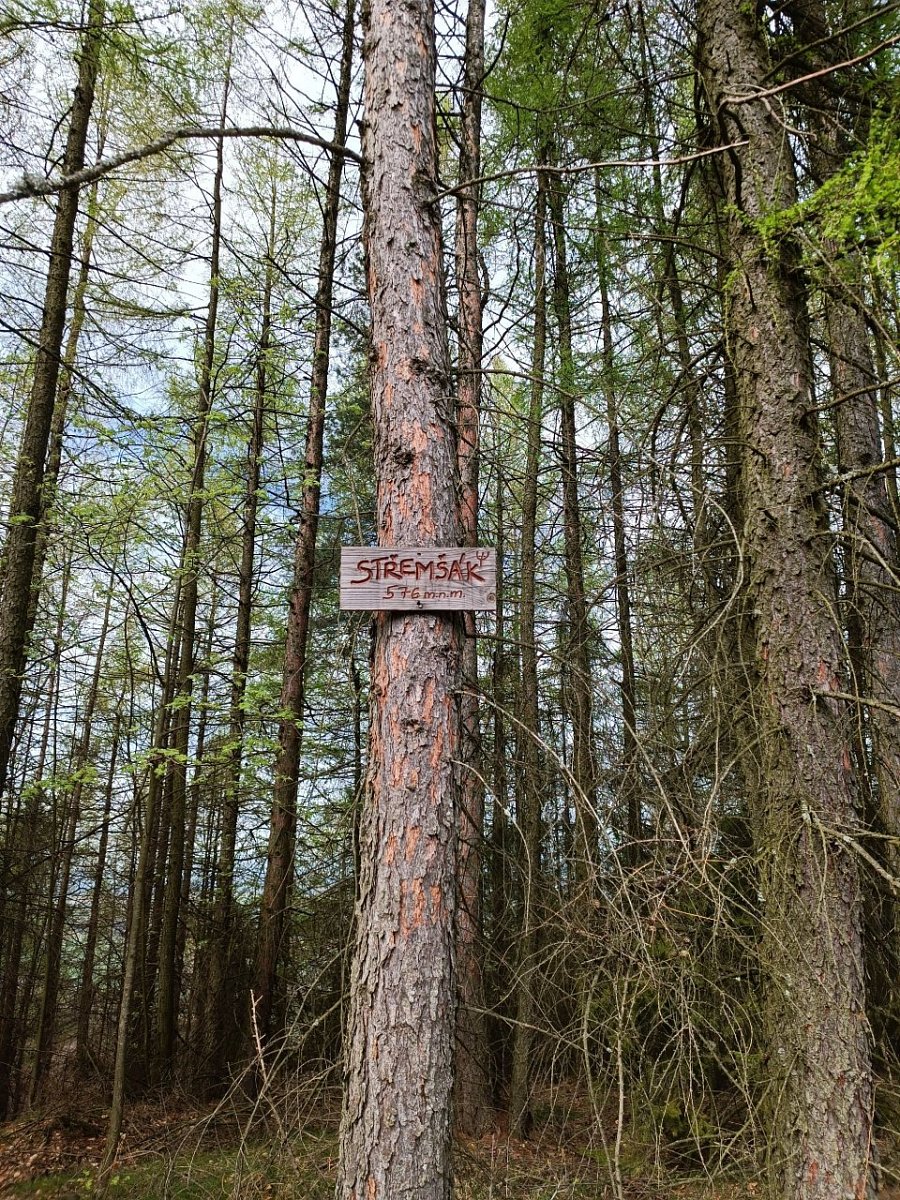 Střemšák (577&nbsp;m)