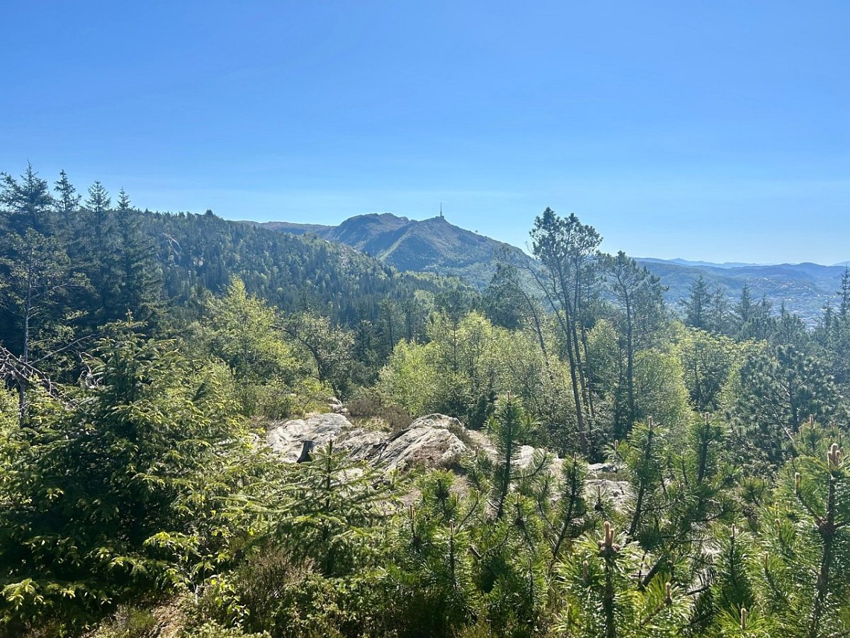 Fløyfjellet (400&nbsp;m)