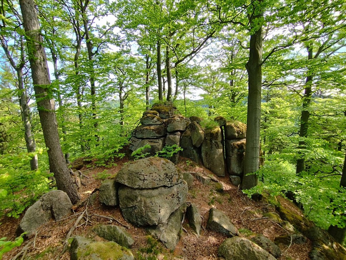 Javorový vrch (724&nbsp;m)