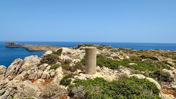 Τρυπητή