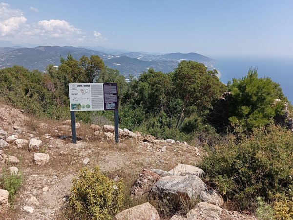 Asar Tepe