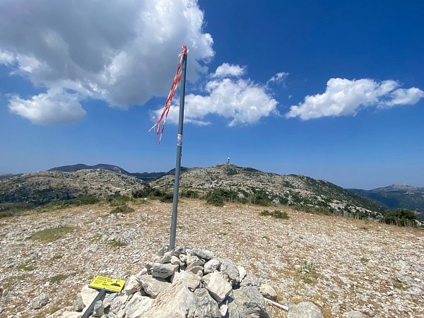 Katharia Rachi