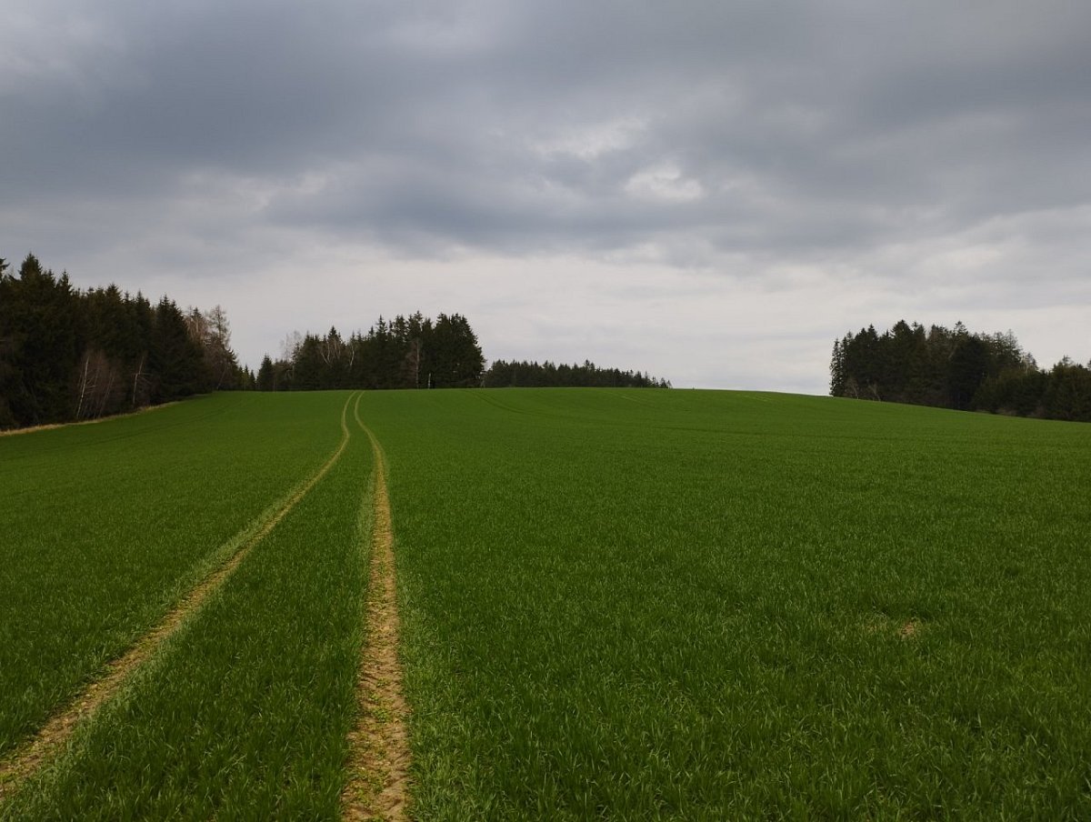 Baldský vrch (693&nbsp;m)