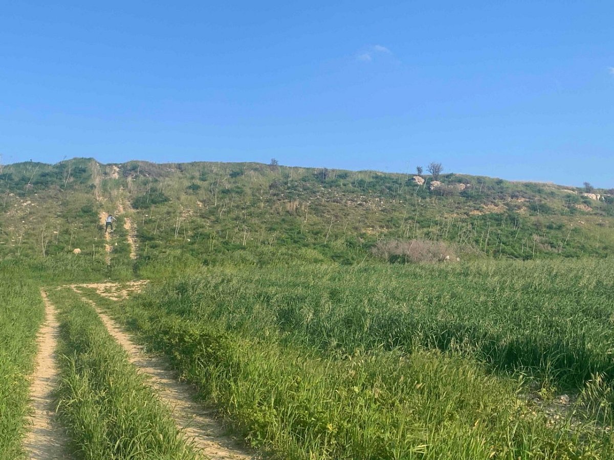 Boyno (54&nbsp;m)