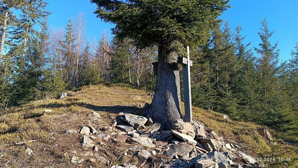 Šorštýn (781&nbsp;m)