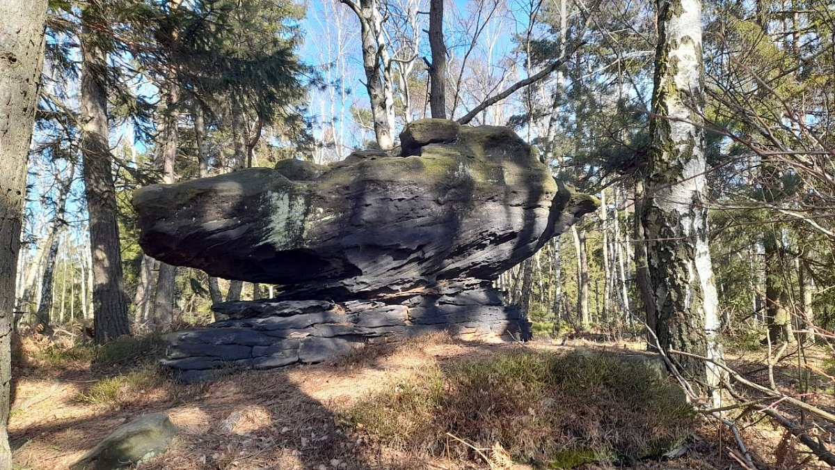 Ptačí stěny - jižní (561&nbsp;m)