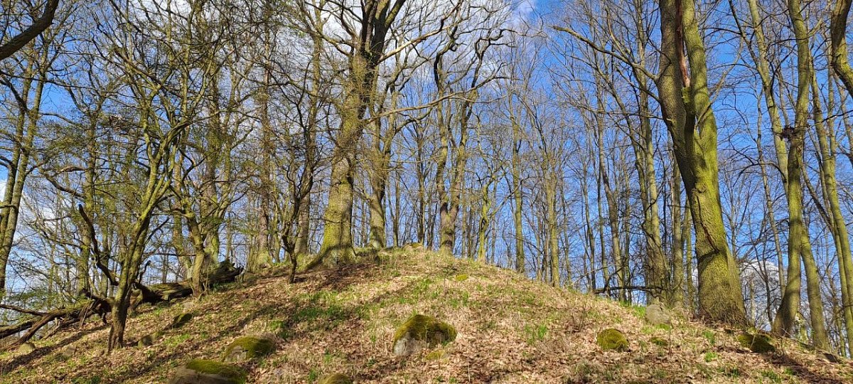 Dědkova kopa (441&nbsp;m)