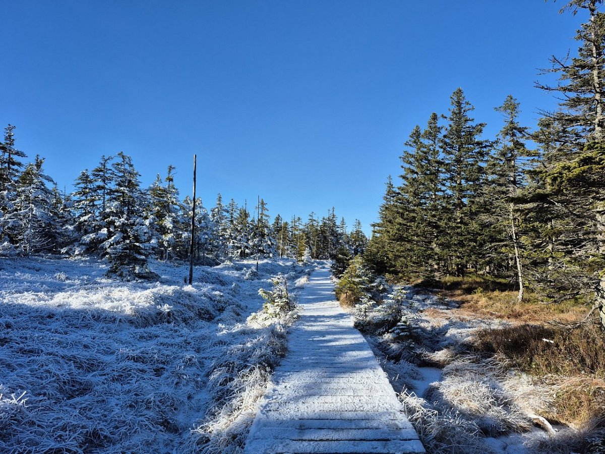 Velký Jezerník (1309&nbsp;m)