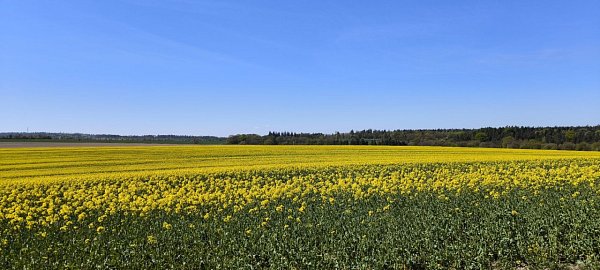 Polomák