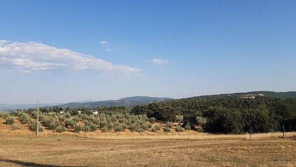 Poggio all'Aglione