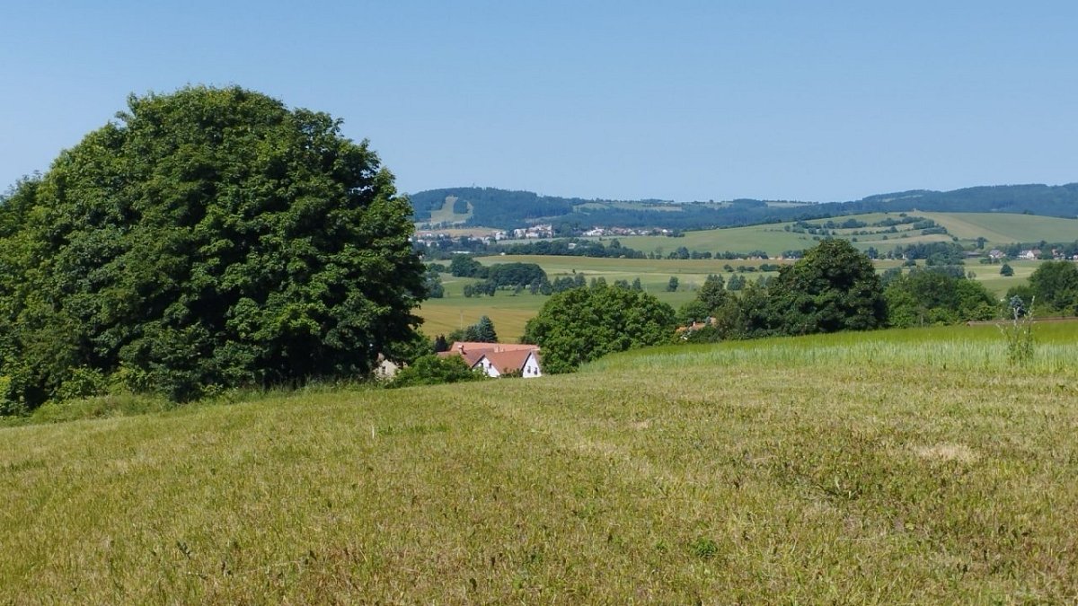 Hlavatého kopec (710&nbsp;m)