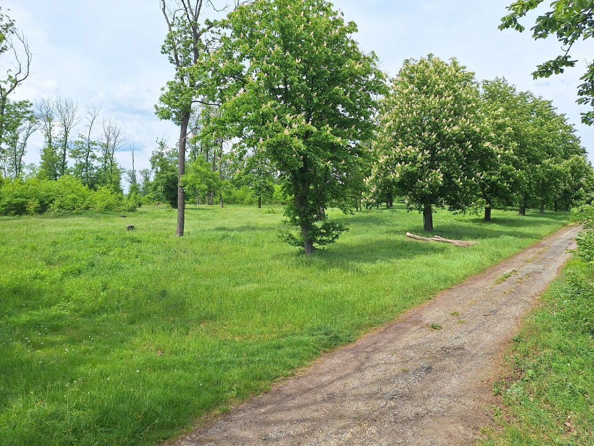 Vysoký roh (310&nbsp;m)