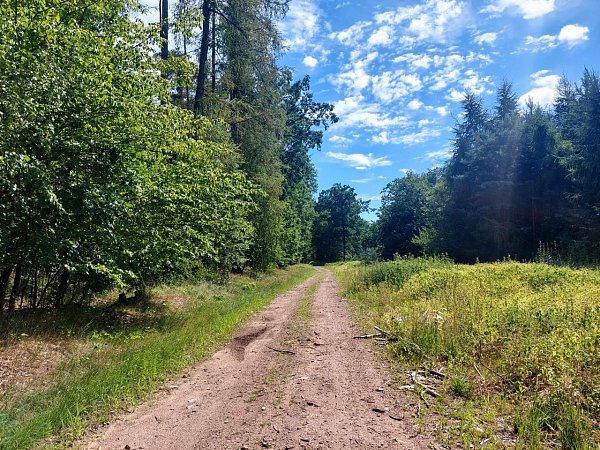 Oborský vrch
