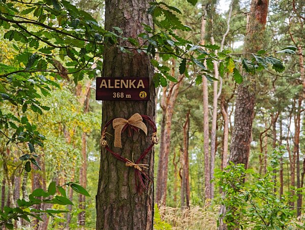 Alenka