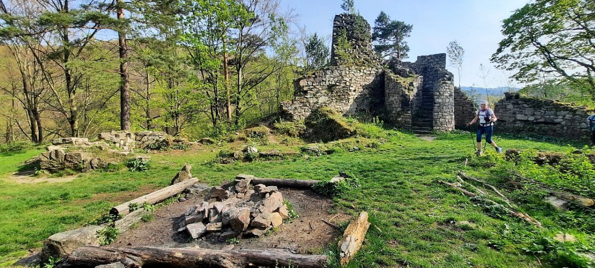 Rychleby - zřícenina (463&nbsp;m)