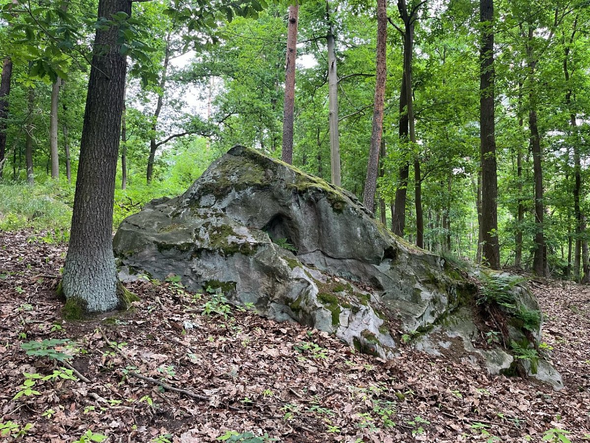 Klůček (304&nbsp;m)