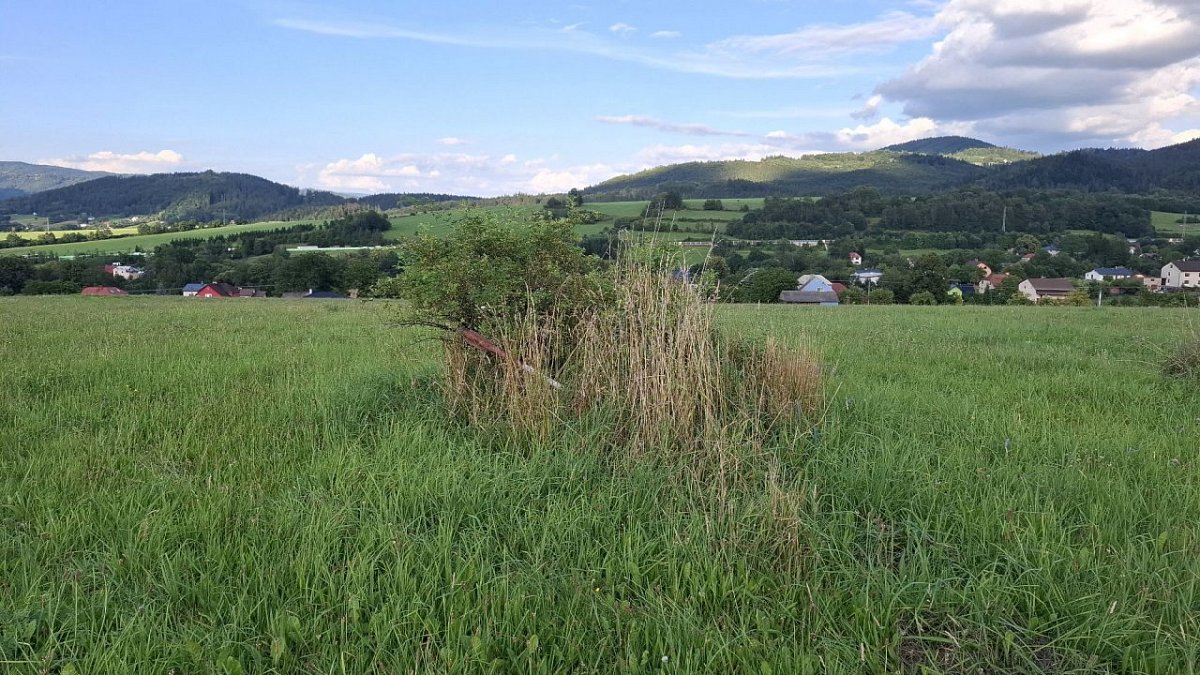 Bukovina (483&nbsp;m)