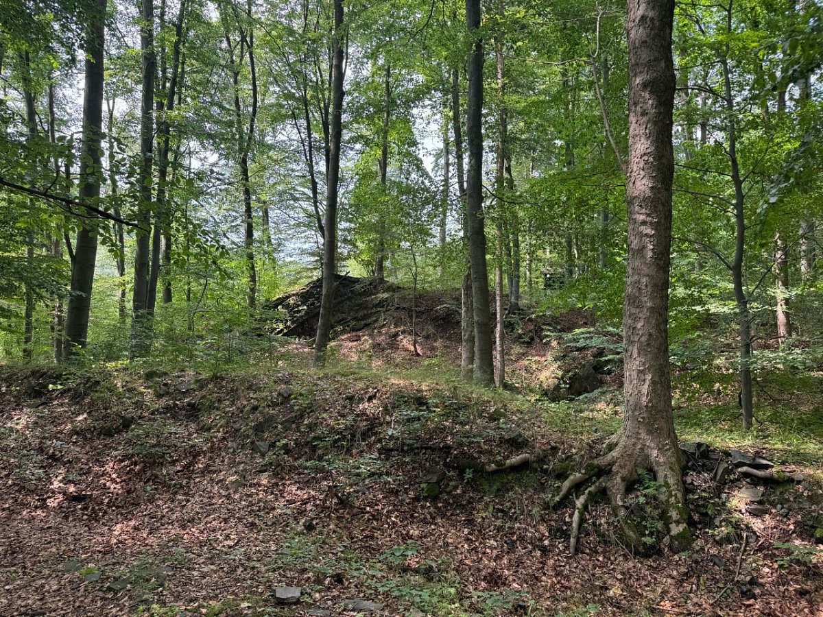 Vildštejn - zřícenina  hradu (533&nbsp;m)