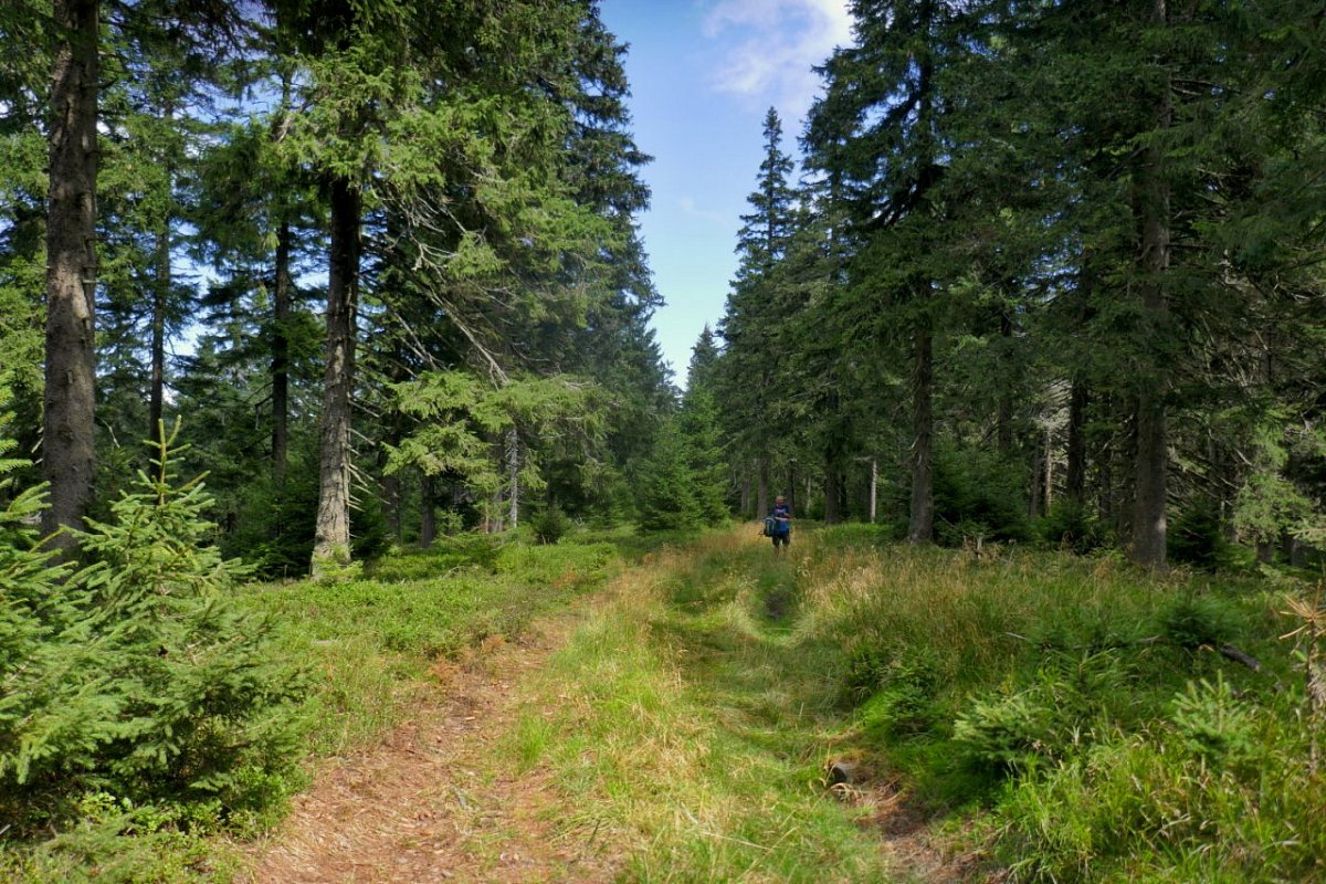 Homole (1209&nbsp;m)
