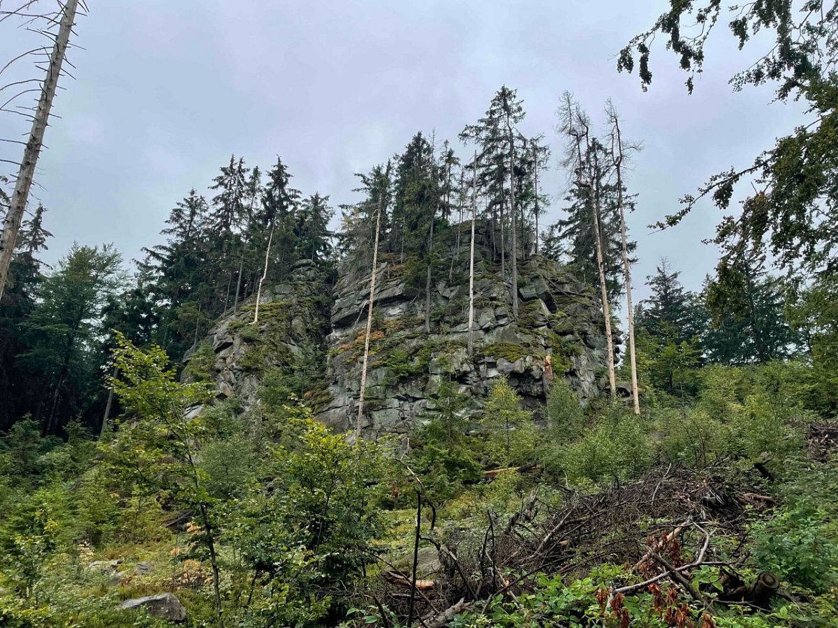 Bohdalec (791&nbsp;m)