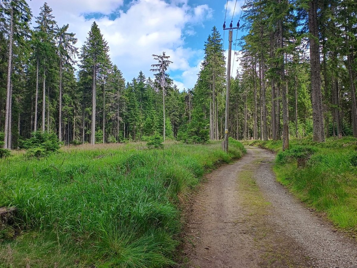 Hůrka (1158&nbsp;m)