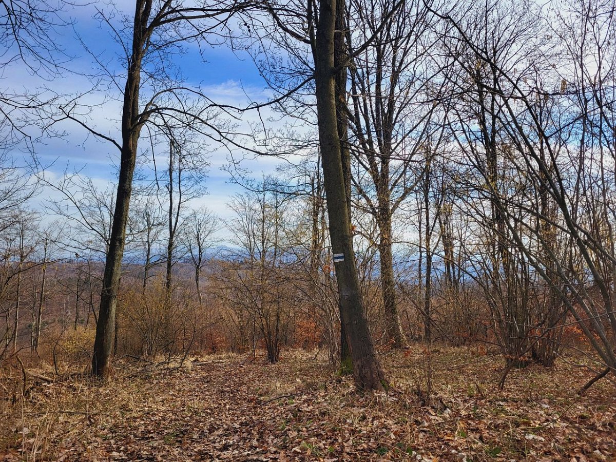 Wilczak (633&nbsp;m)