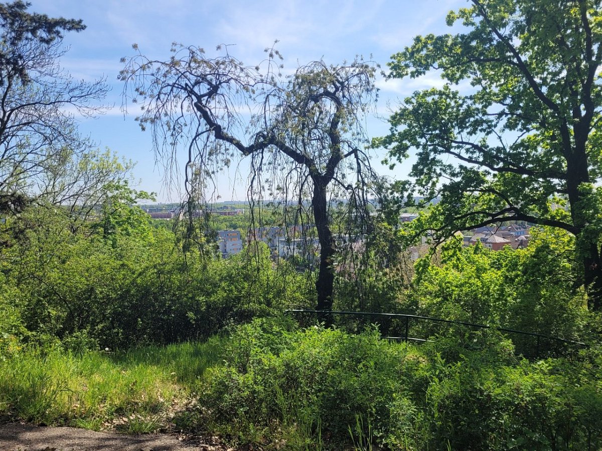 Tábor (261&nbsp;m)