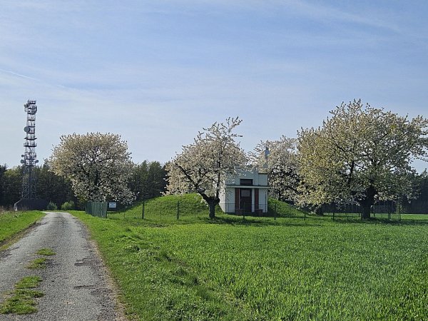 Osičina