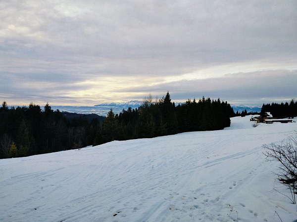 Bukowina Miejska