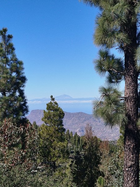 Montaña de Las Mejoranas