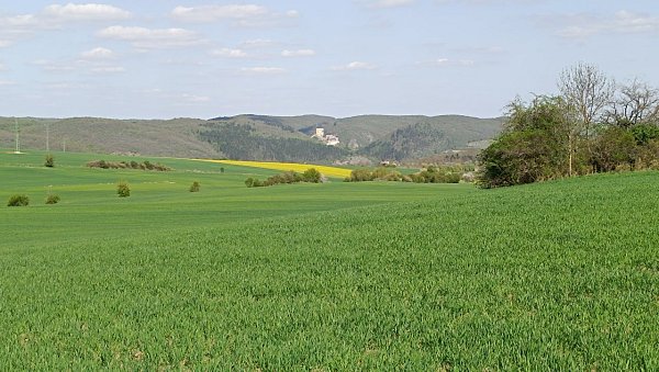 Jaruška