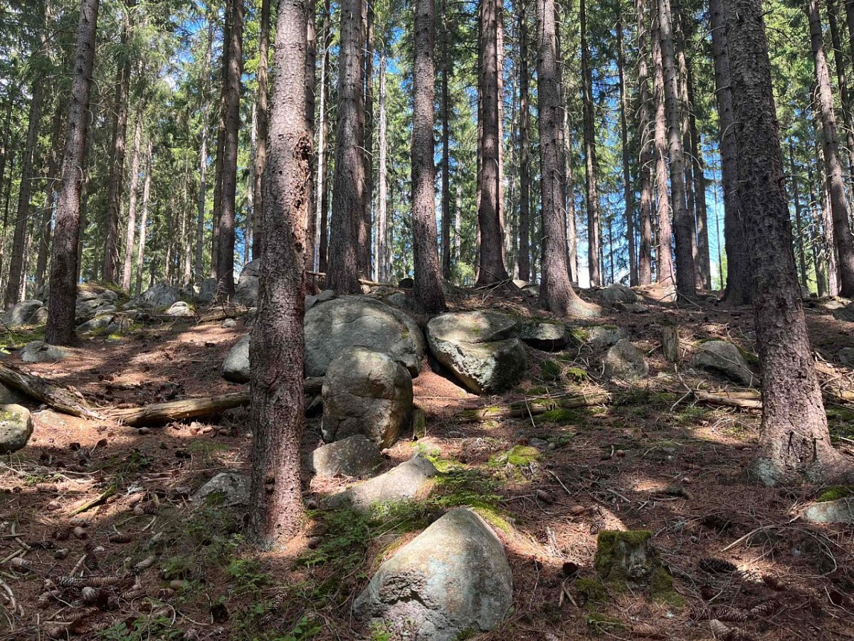 Kamenná hůrka (831&nbsp;m)