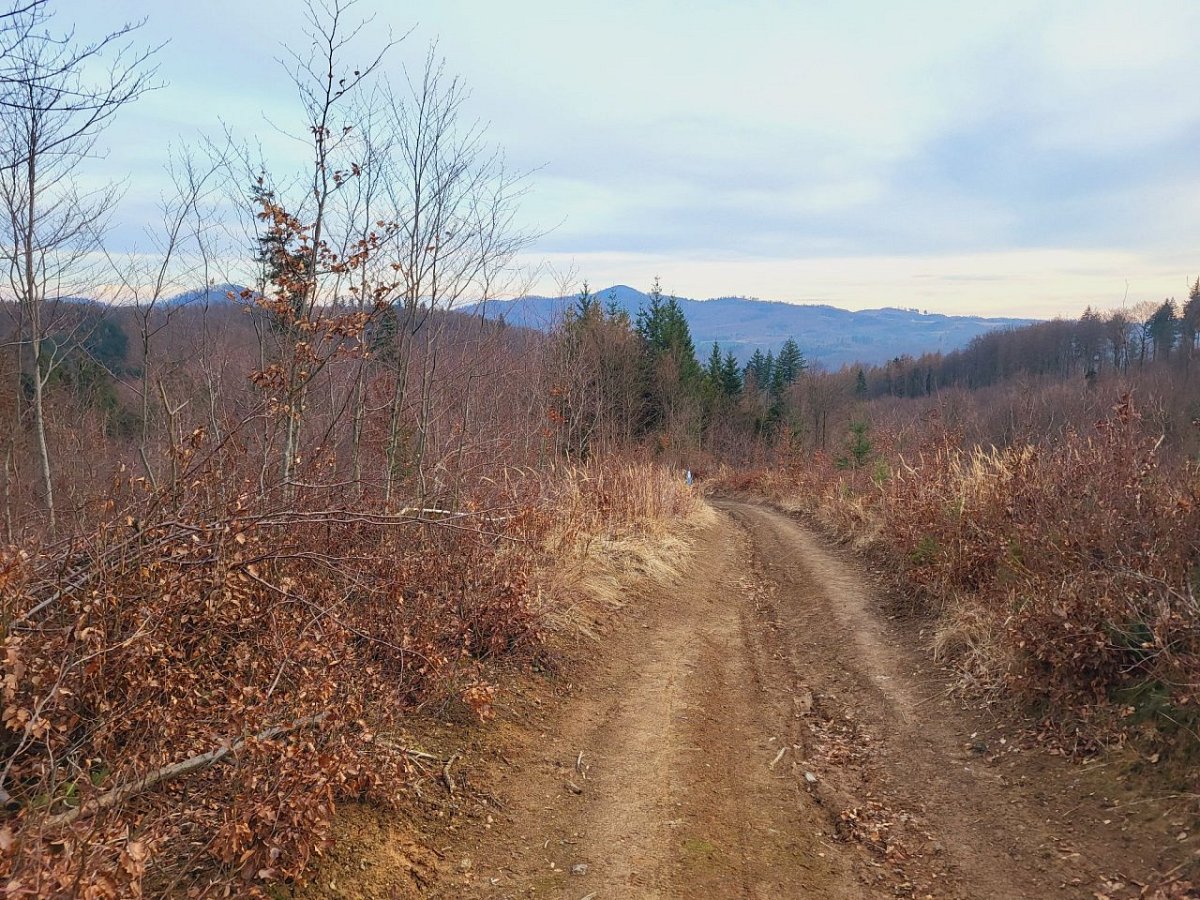 Młynarz (412&nbsp;m)