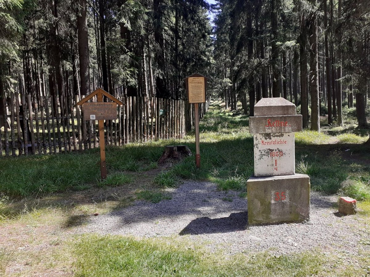 Větřín (1178&nbsp;m)