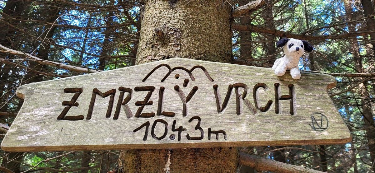 Zmrzlý vrch (1043&nbsp;m)