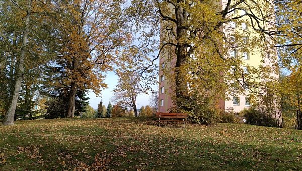 Žižkův vrch
