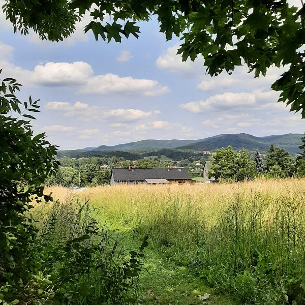 Dolina