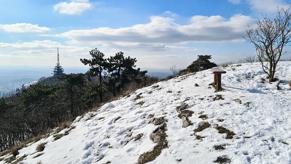 Zobor